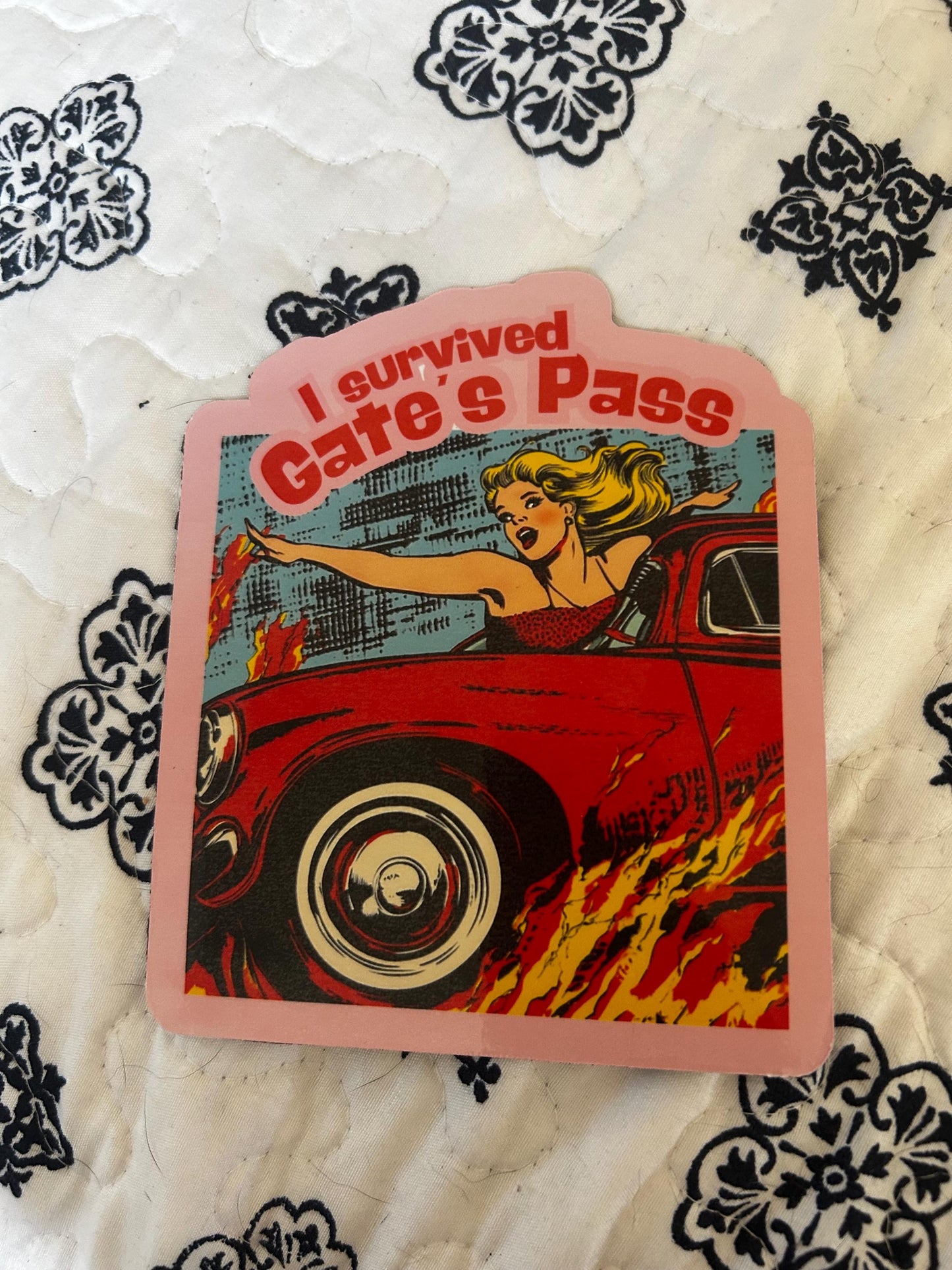 I survived Gates Pass | Tucson, Arizona Sticker | retro