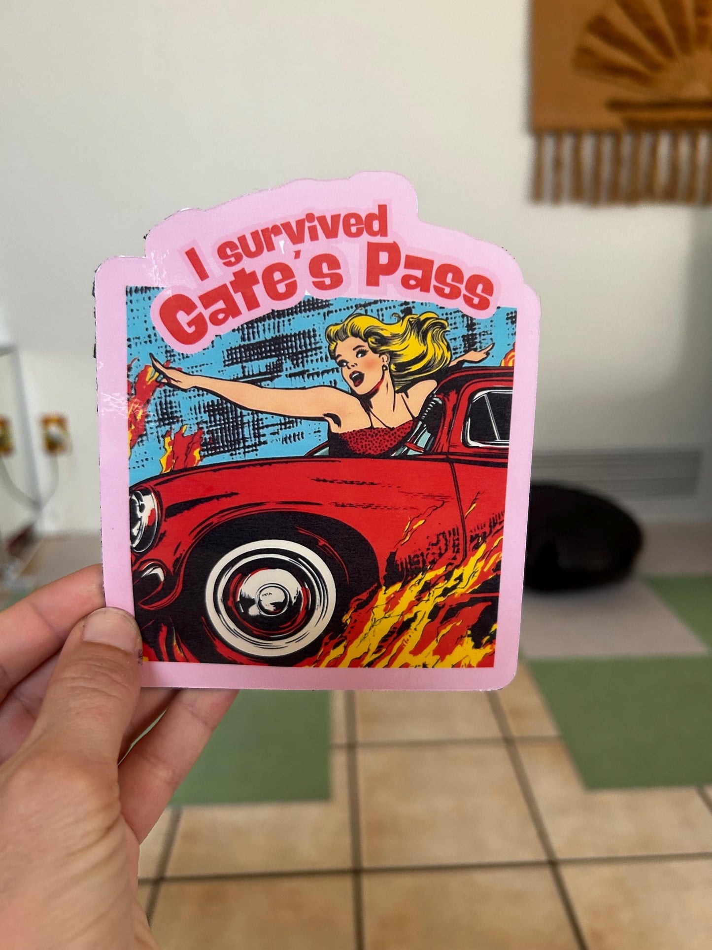 I survived Gates Pass | Tucson, Arizona Sticker | retro